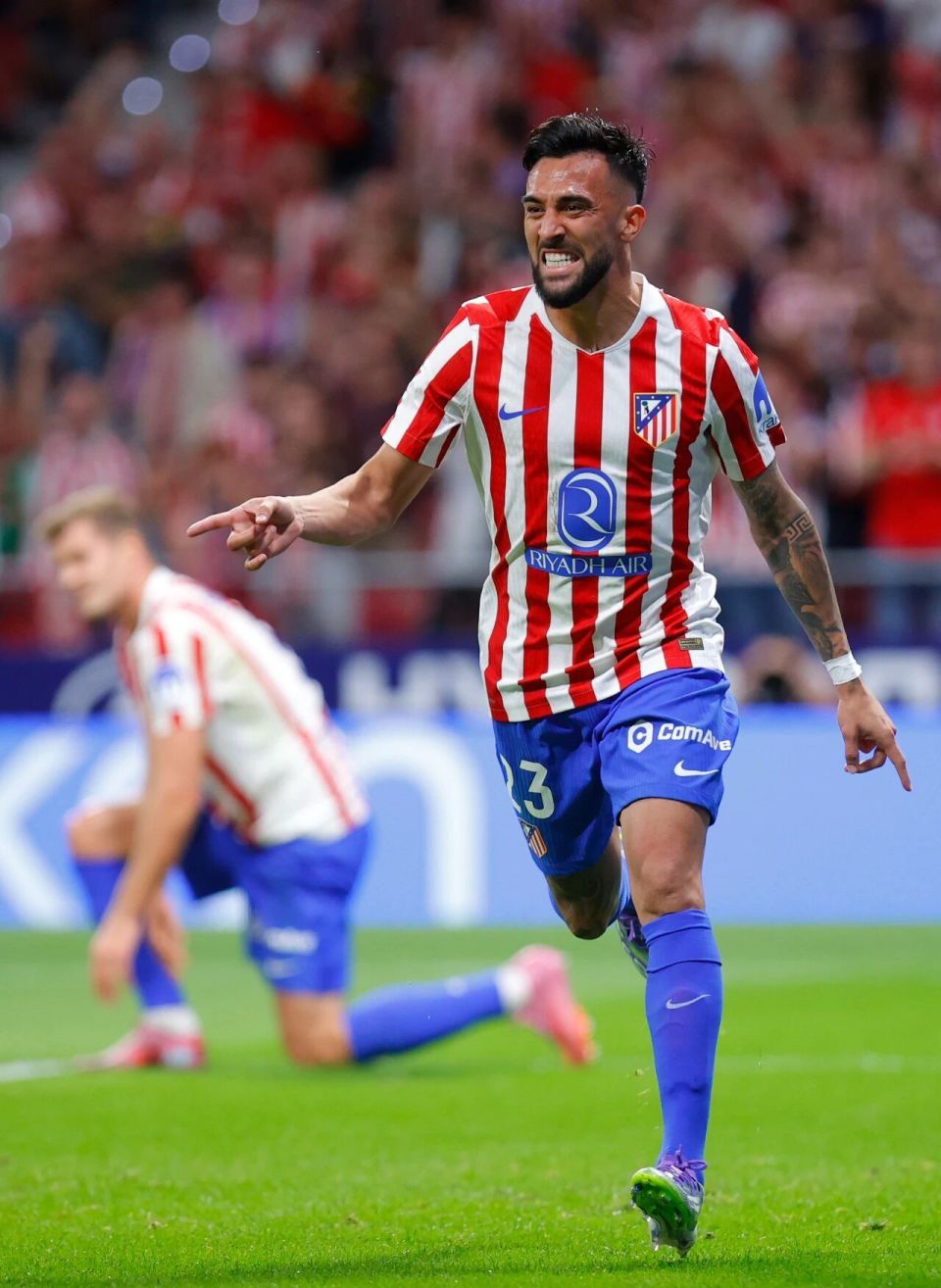 https, OrN, 格列兹曼进